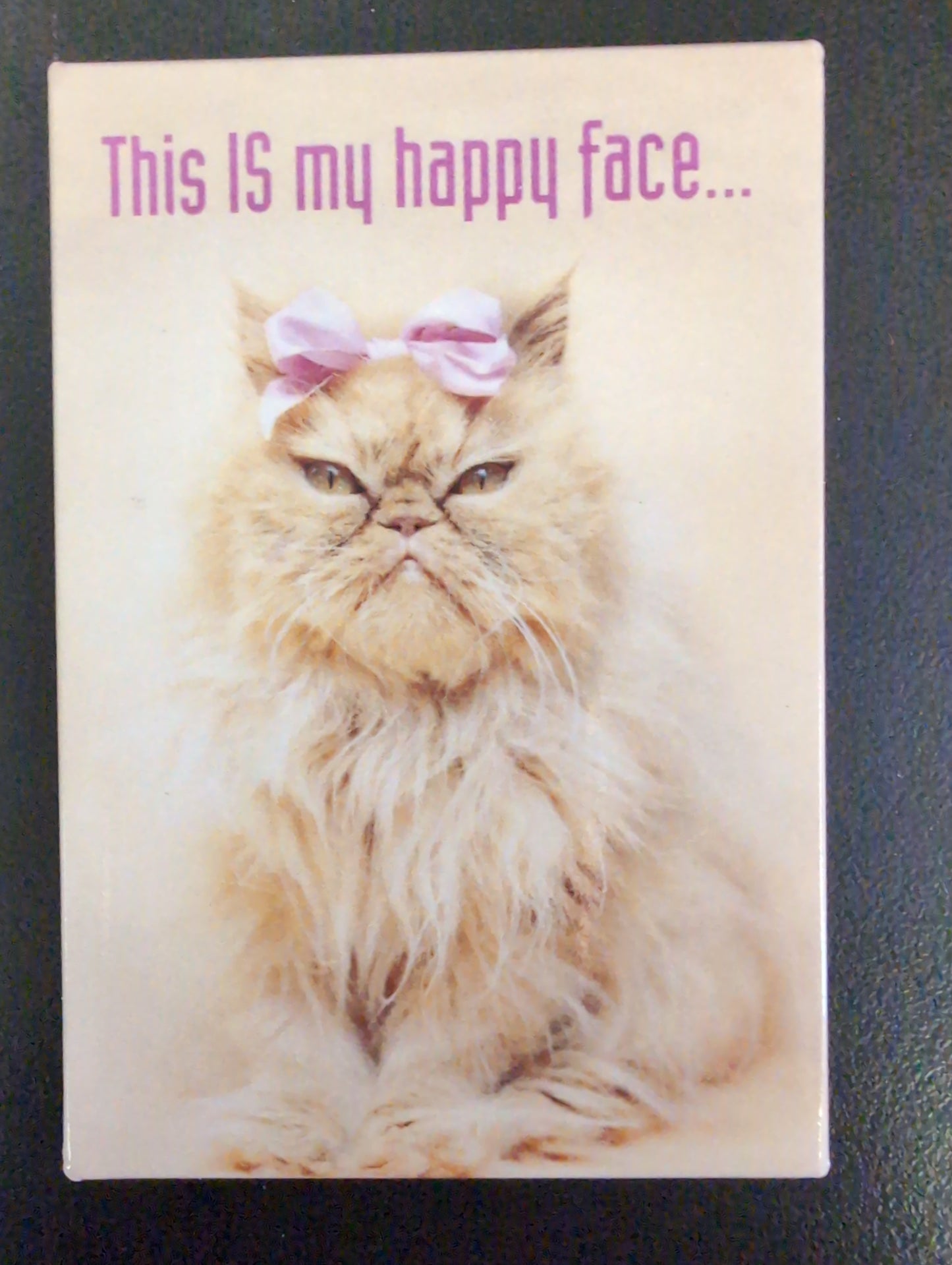 Magnet -This IS my happy face