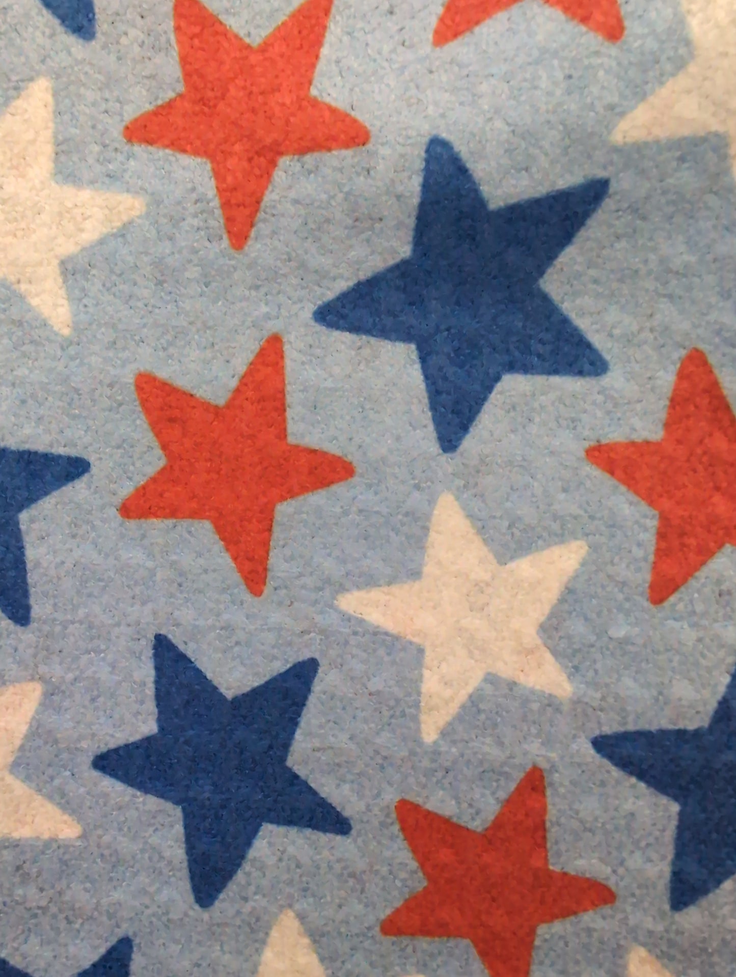 Americana Reversible Printed Microfiber Dishtowel