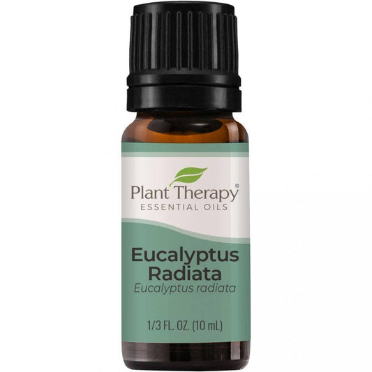 Eucalyptus Radiata Essential Oil 10 mL