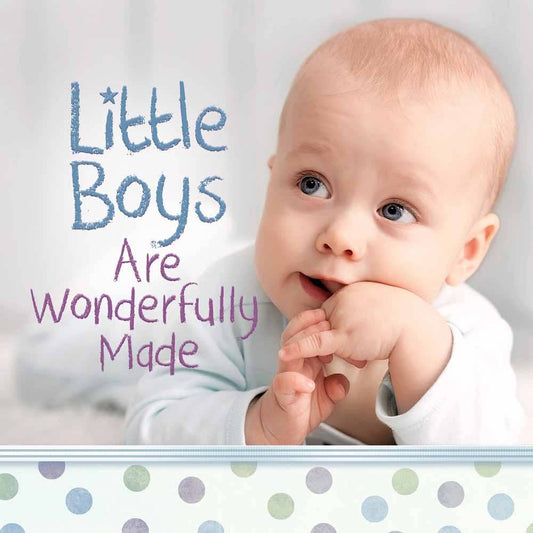 Little Boys Are Wonderfully Made, Book