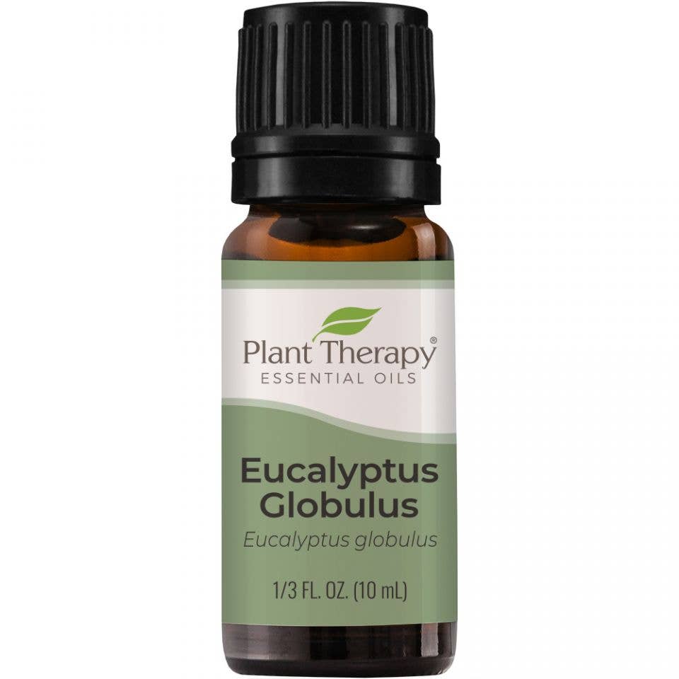Eucalyptus Globulus Essential Oil 10 mL