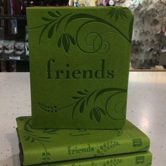 Friends - mini book